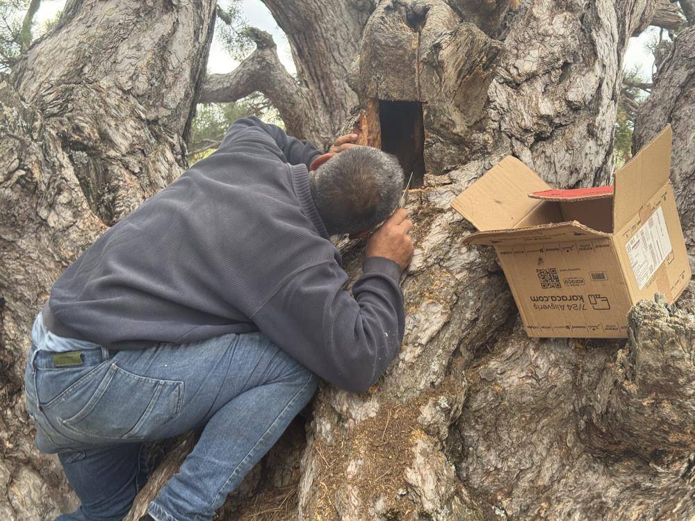 Konya’ya kadar firari izi sürüp hazineye ulaşıyorlar 5